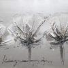 Bomullsblomst - Image 2