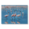 Maalaus flamingoilla