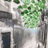 Brella Green - Image 4