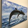 DolphinsClub - Image 4