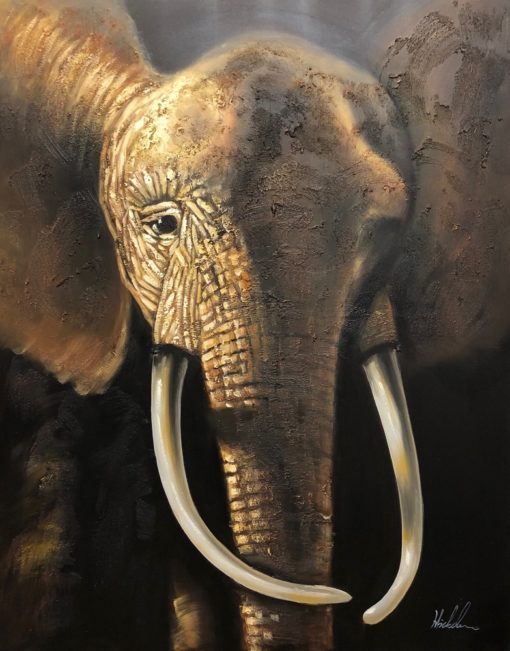 Elephant - Image 2