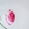 Flower - Image 2