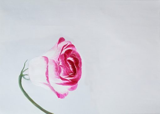 Flower - Image 2
