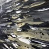 Oceanly - Image 5