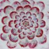 FlowerSpinn - Image 2