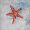 SeaStar - Image 2