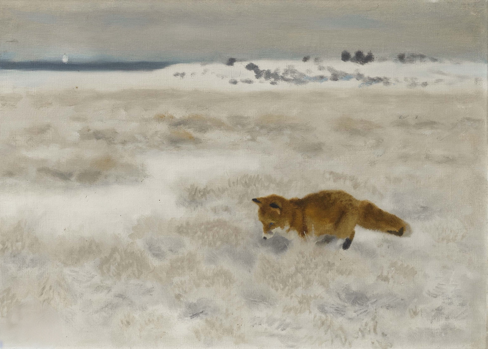 Fox on Rat hunt – Canvas Collection - Image 2